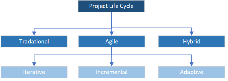 Project Life Cycle Variations